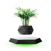 Levitating Air Bonsai: Elegant Floating Pot for Mesmerizing Home Decor and Table Illumination