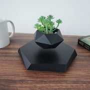 Levitating Air Bonsai: Elegant Floating Pot for Mesmerizing Home Decor and Table Illumination